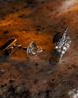 Zeus Silver Studs