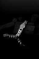 Sterling silver bracelets for men