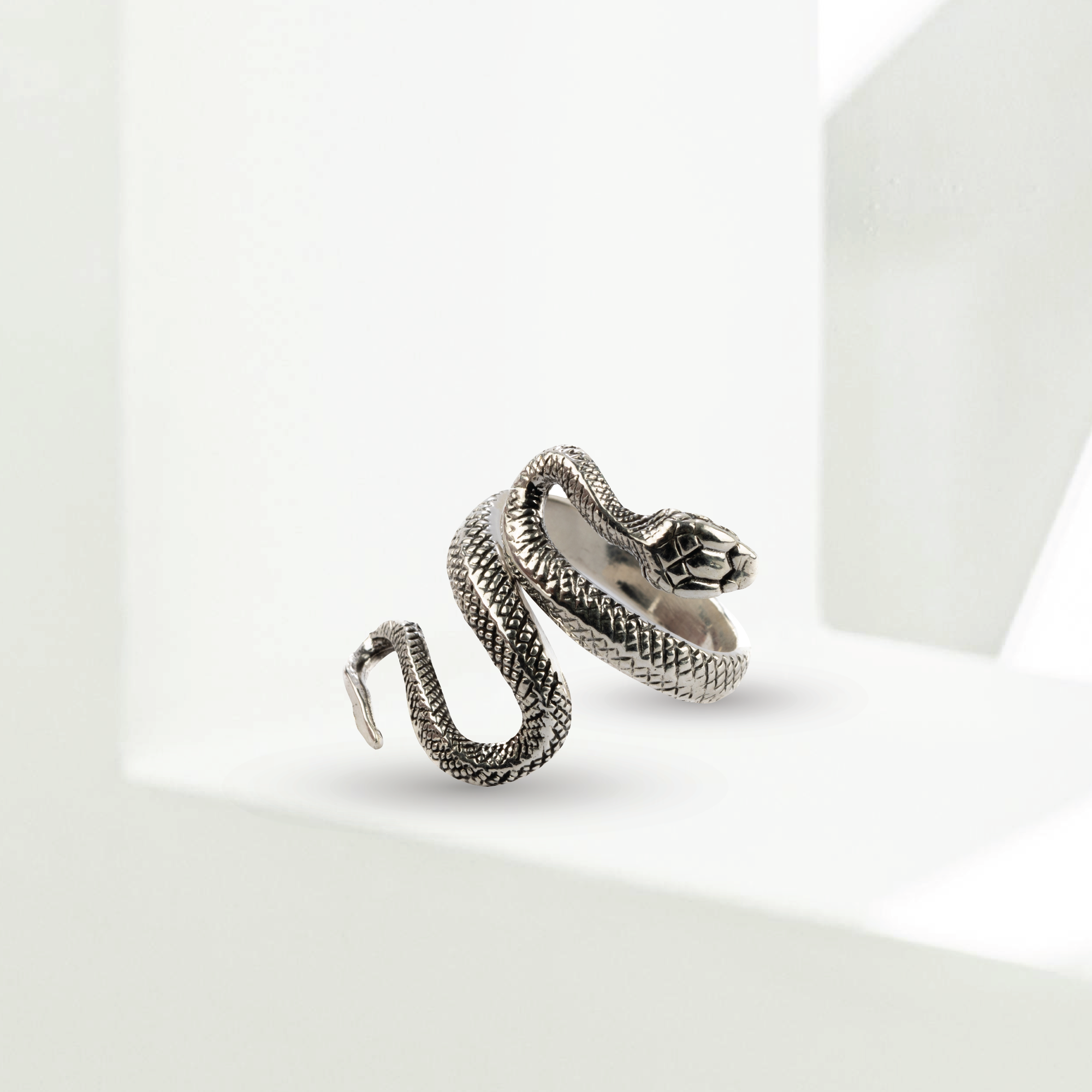Collection Image